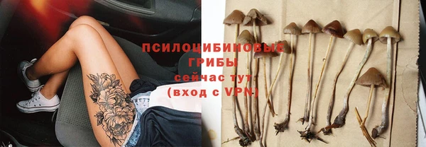 прущие крисы Володарск