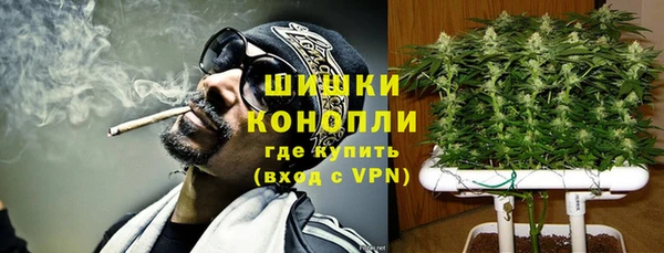 бошки Белокуриха