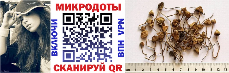 где продают наркотики Богородицк Галлюциногенные грибы Psilocybine cubensis