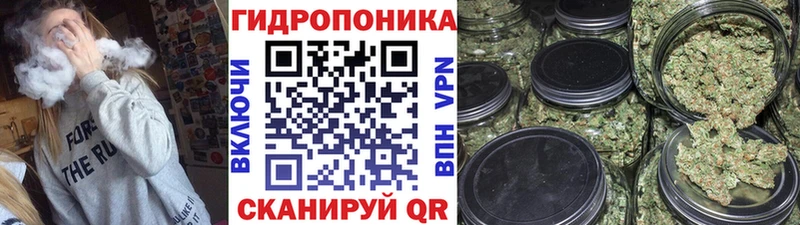 Бошки марихуана ГИДРОПОН  цены наркотик  Богородицк 